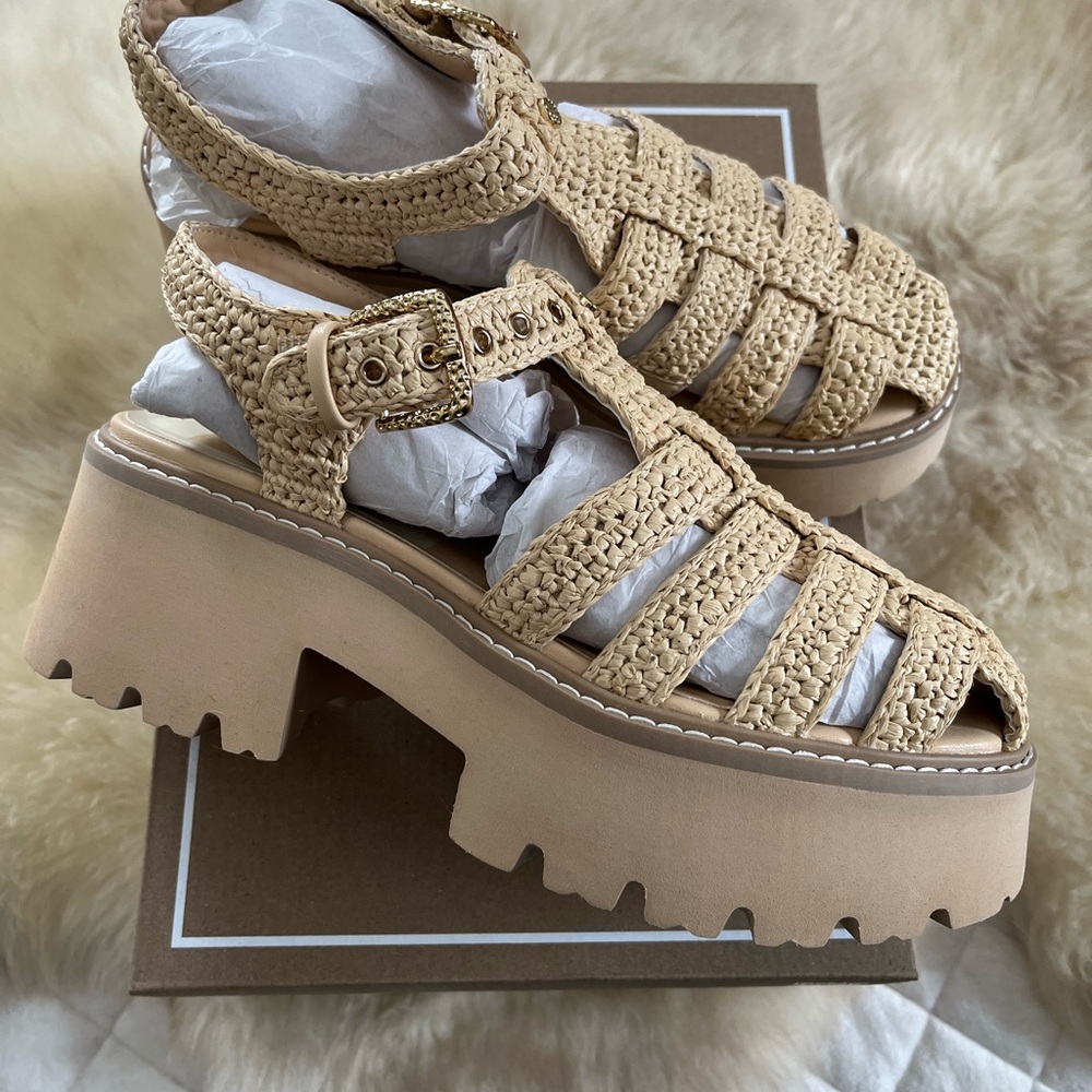 Dolce Vita Platform Sandals